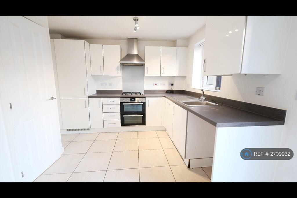 Modern Kitchen