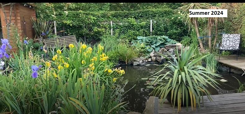 NEW V Garden 11