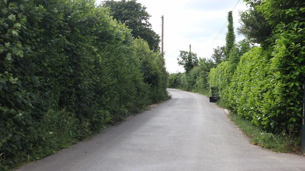 Adjoining Lane
