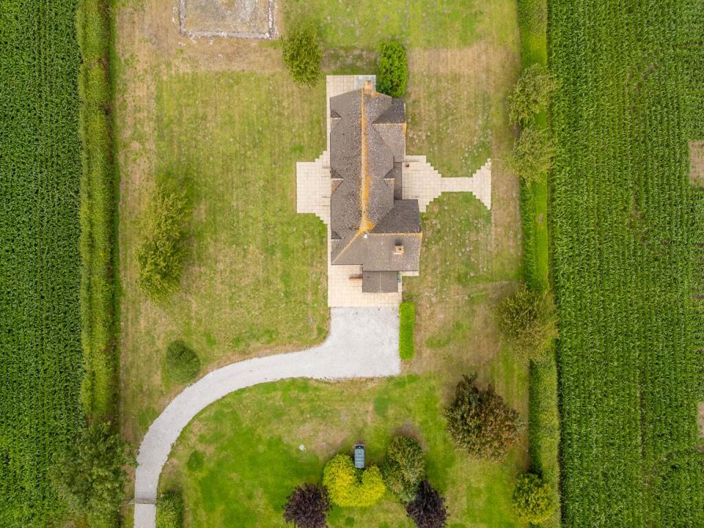 Birds Eye
