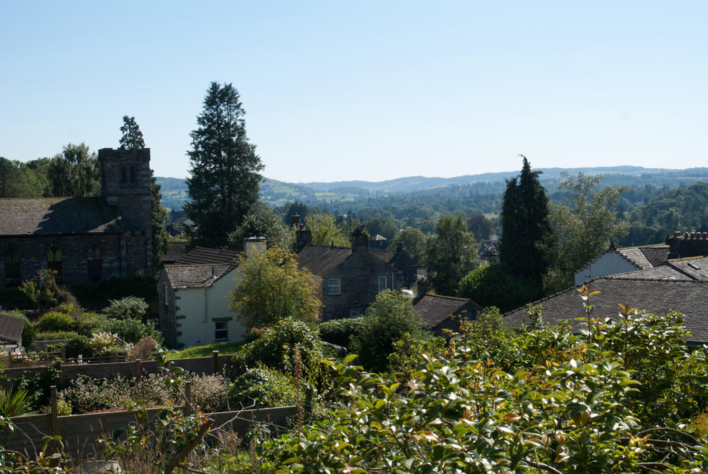 View from Garden