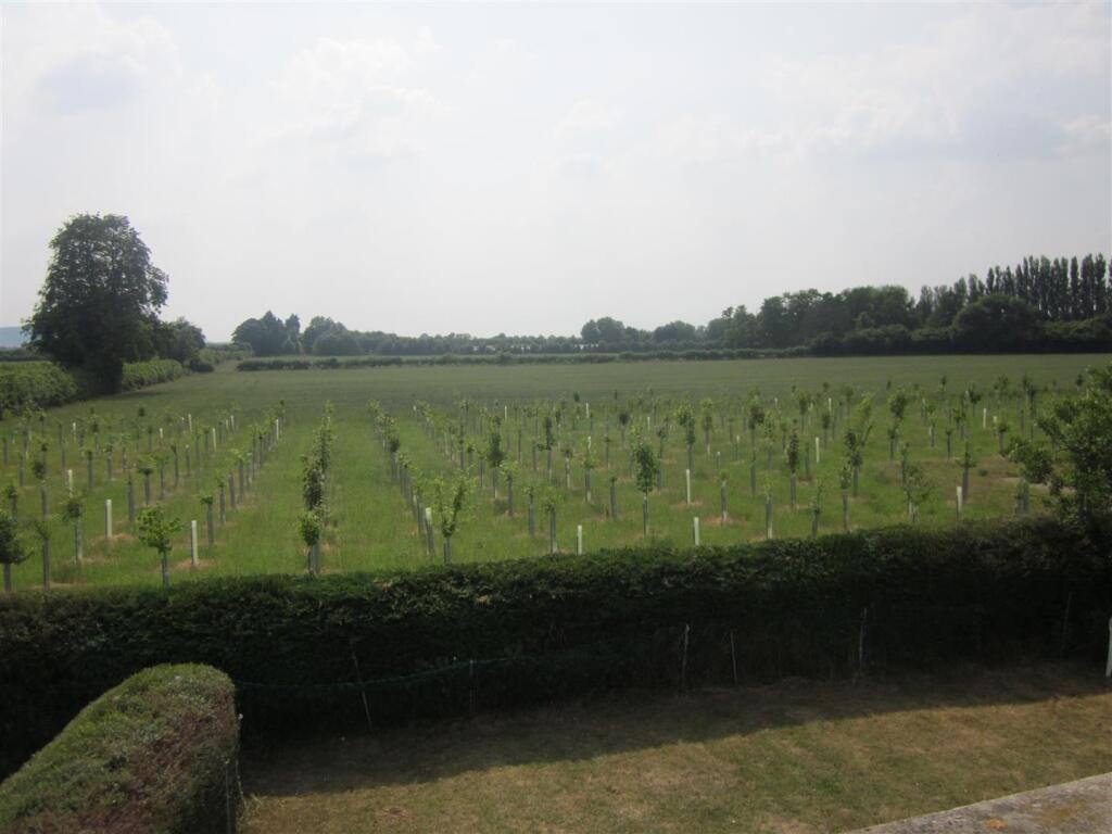 Hatchmead Farm View 014 [00043844].JPG