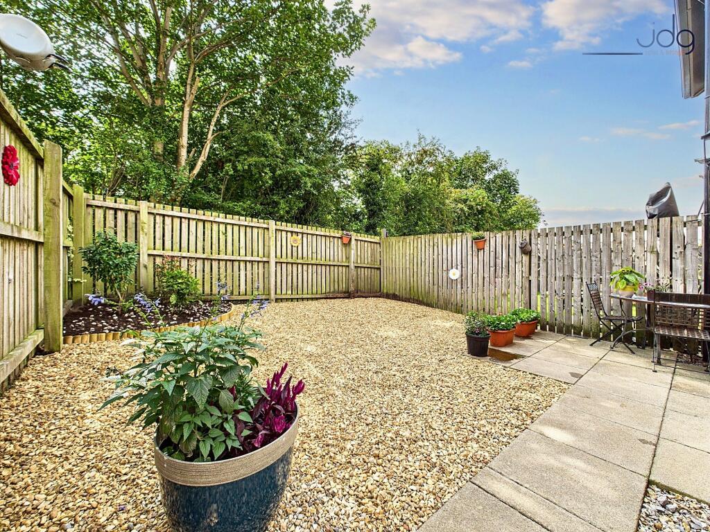 Spacious garden with room to extend