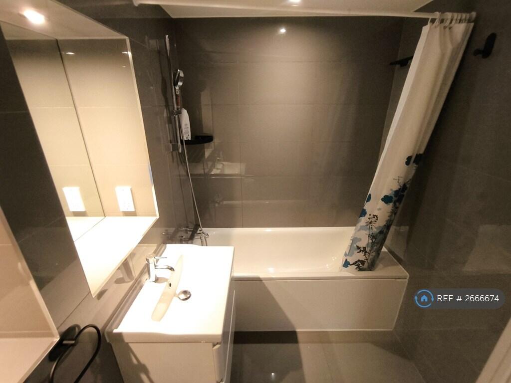 Bathroom Alternate View