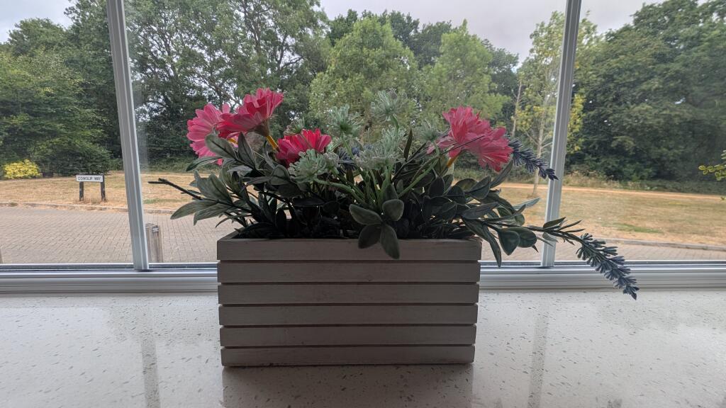 PXL_20250714_1052543