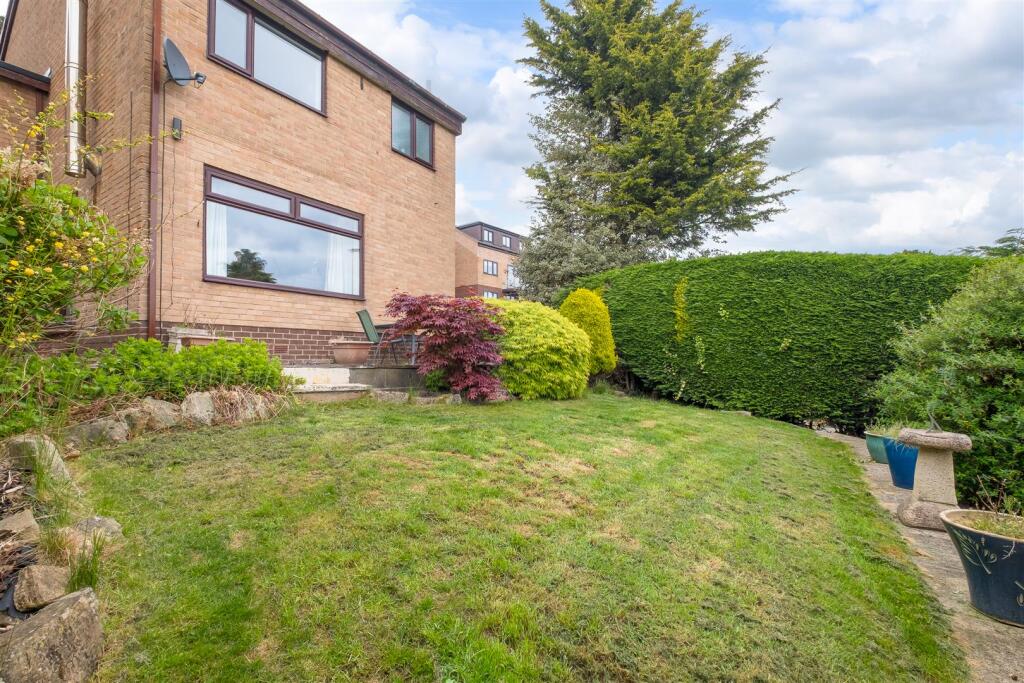 untitled (3 of 19).jpg