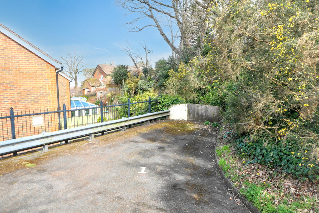 IMG_8567 (Portal ...