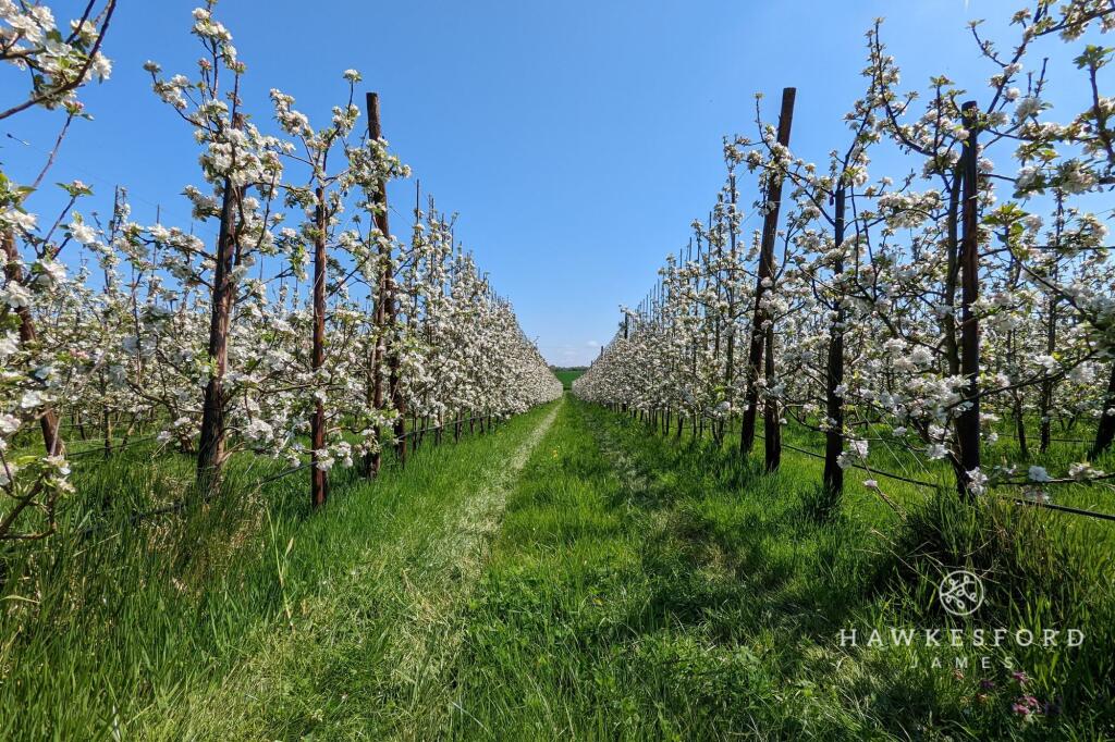 Deerton Street, Teynham - View to rear