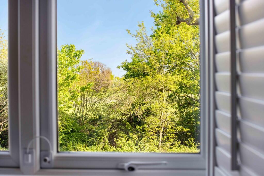 46_View