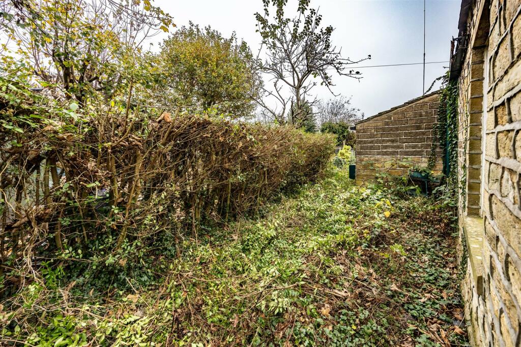 CFBrad-081124-21.jpg