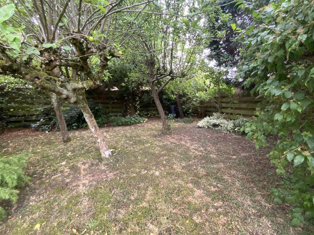 Small Orchard Area