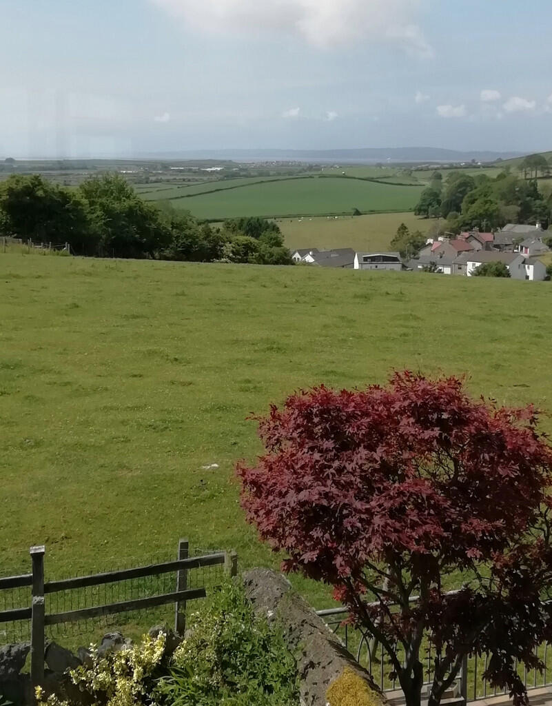 View from First F...