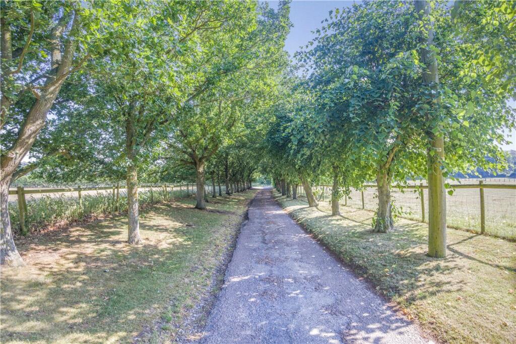 Picture No. 03
