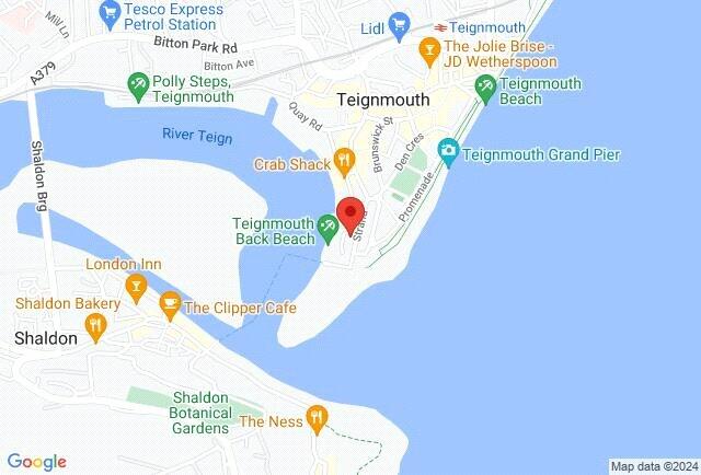 Google Maps Image