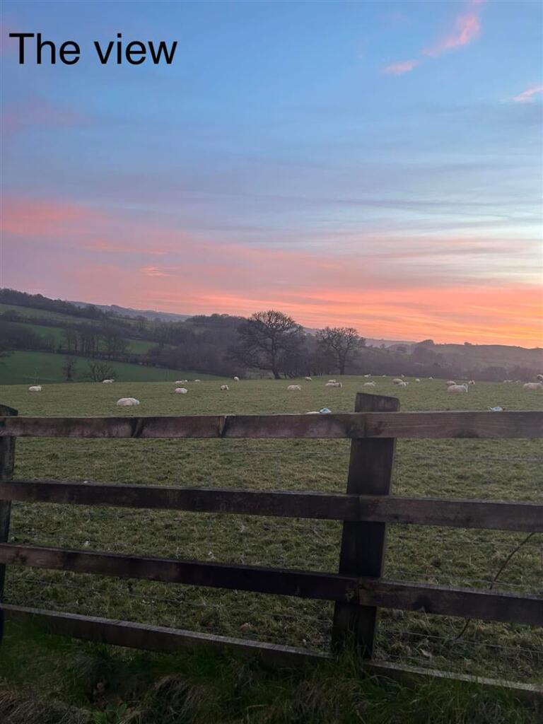 WhatsApp Image 2025-07-29 at 15.53.37.jpeg