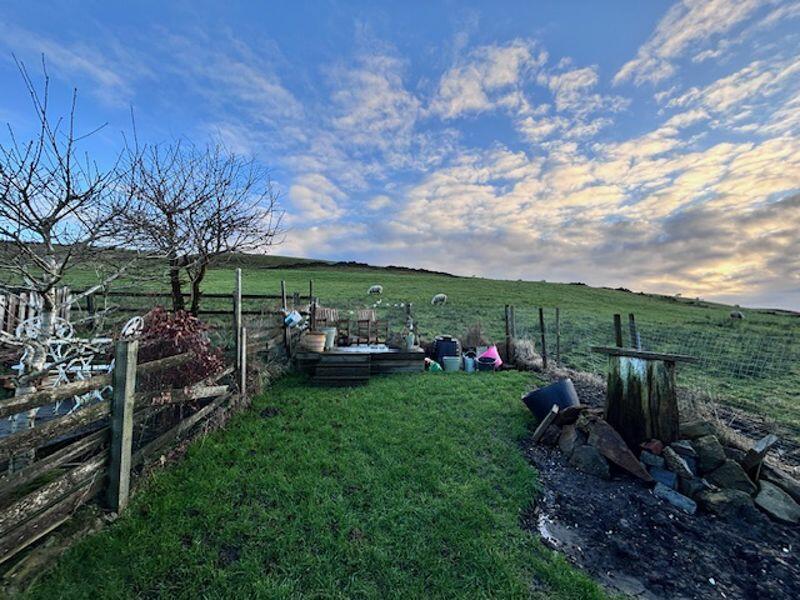 Rented Garden