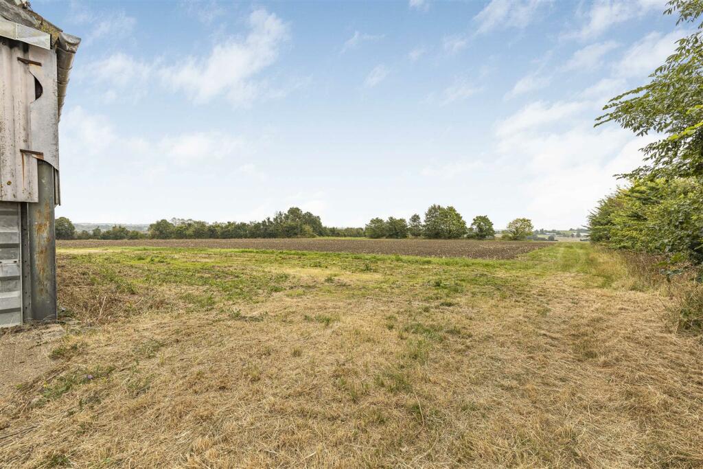 12_36961.jpg