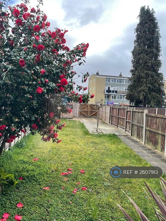 Back Garden