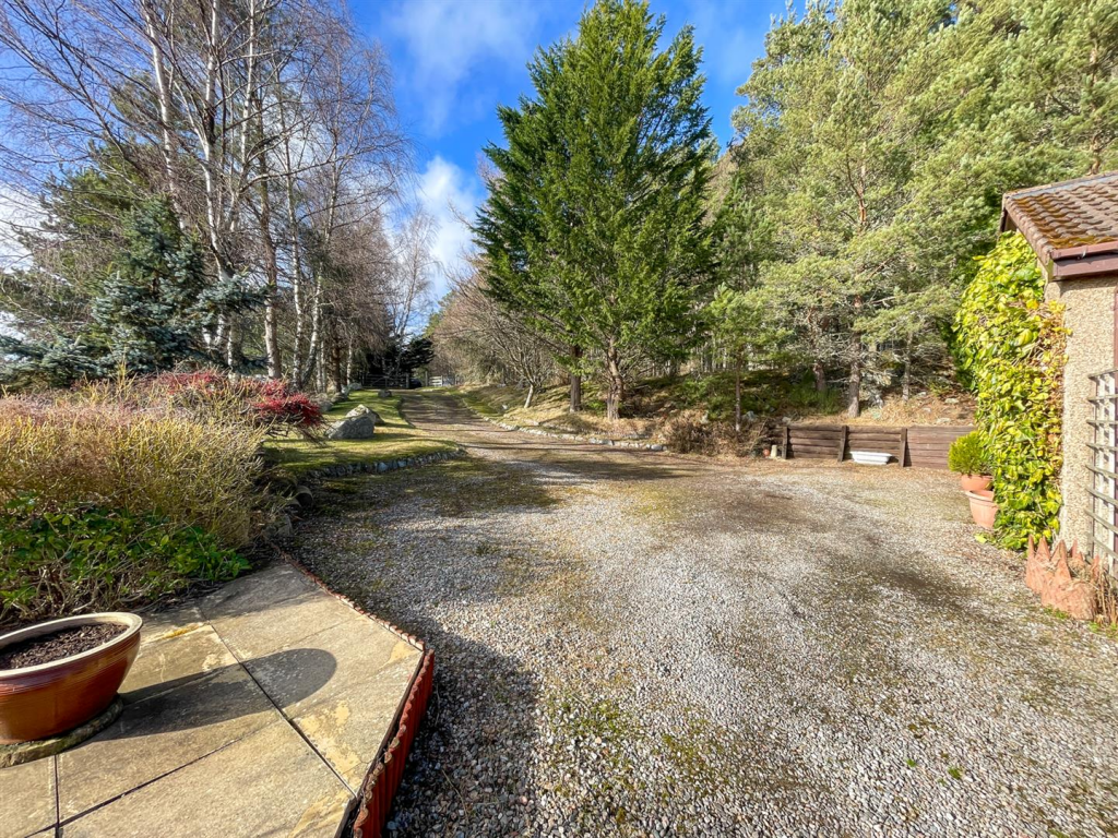 Driveway &amp; Parking