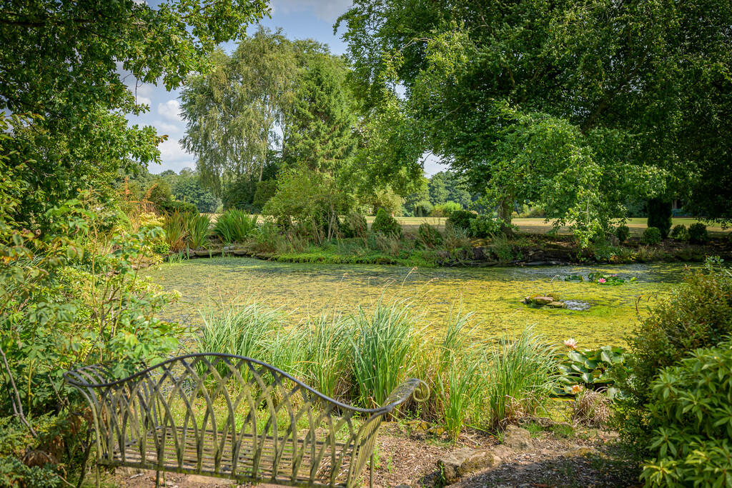 Pond 