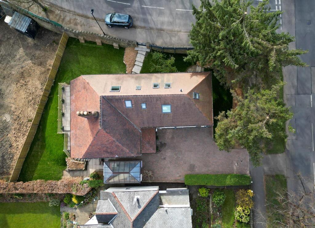 DJI_0045 2025-03-27 23_44_17 (1).jpg