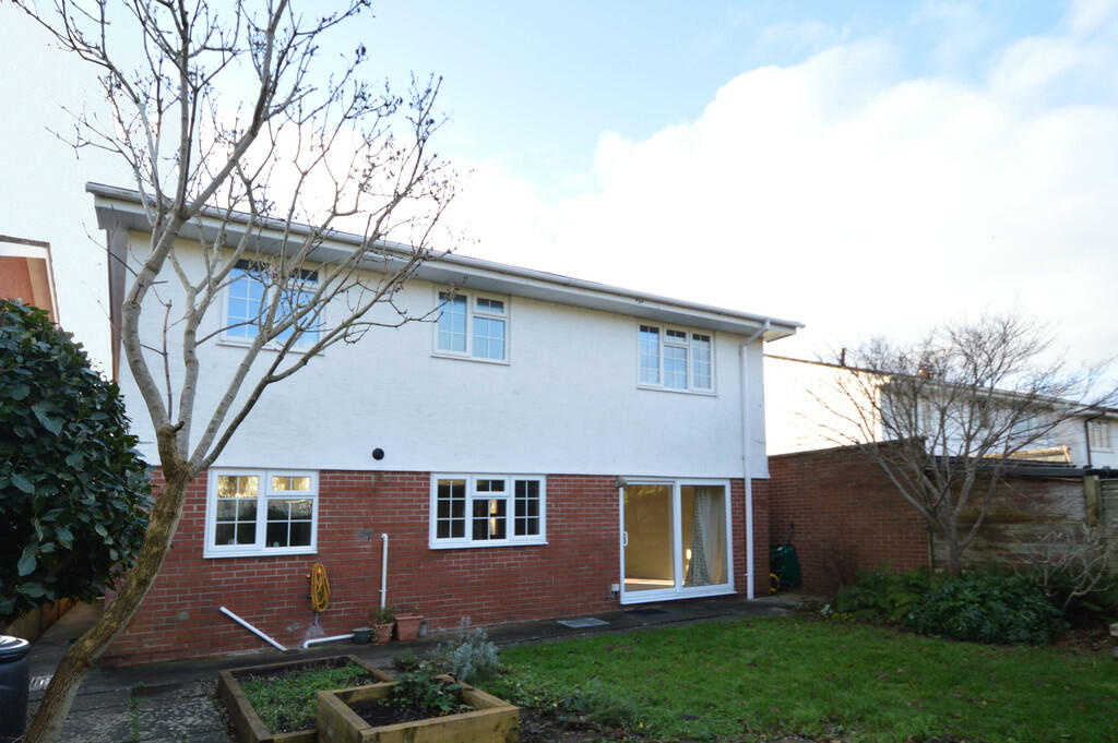 Rear Aspect