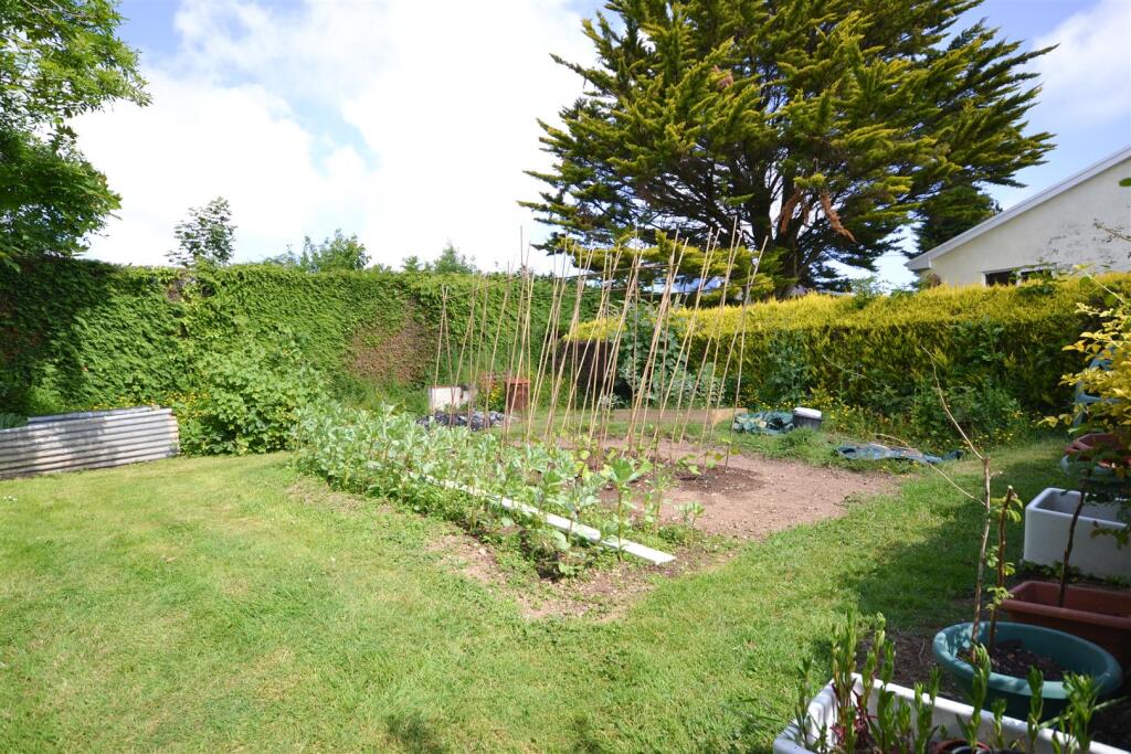 Vegetable Garden.jpg