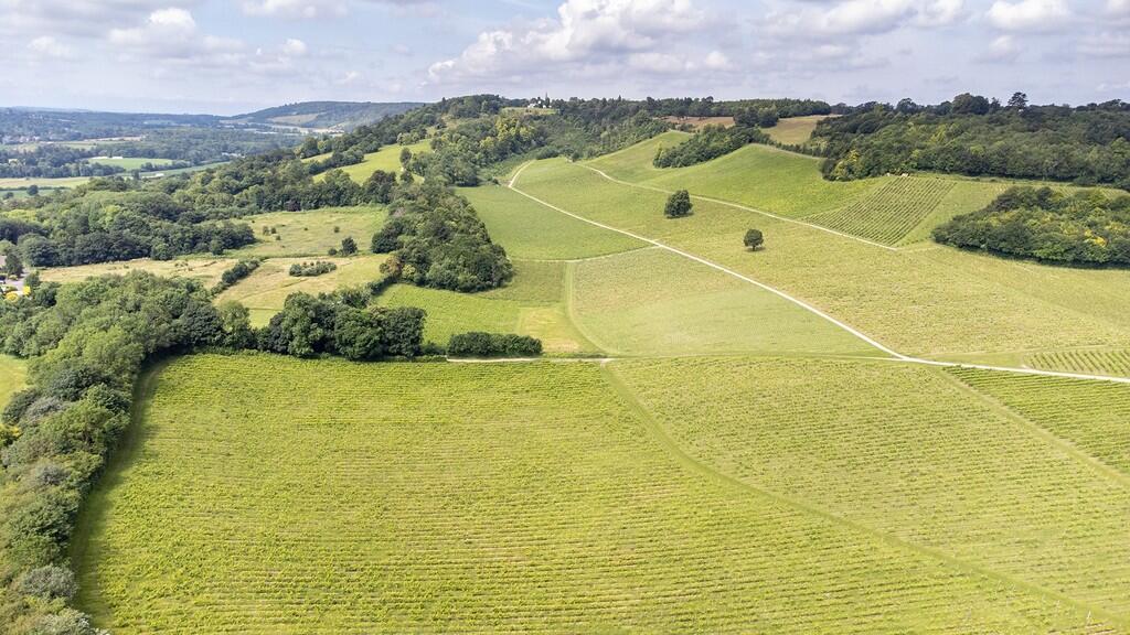 den towards ranmo...