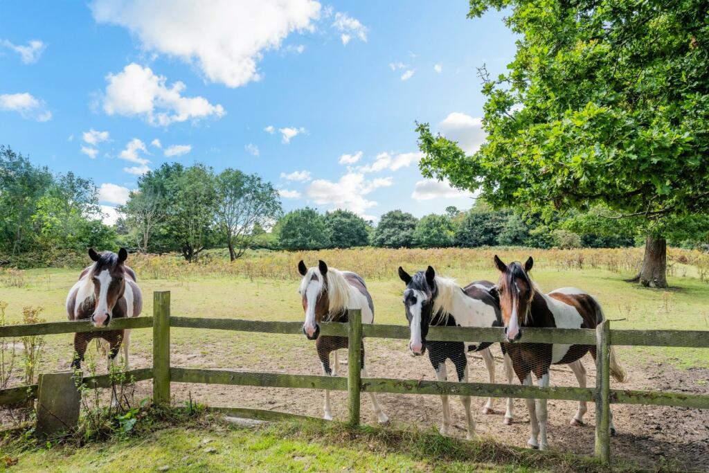 SANDLANDS ROAD (6).jpg