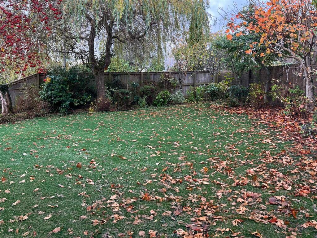 Rear-garden.jpg