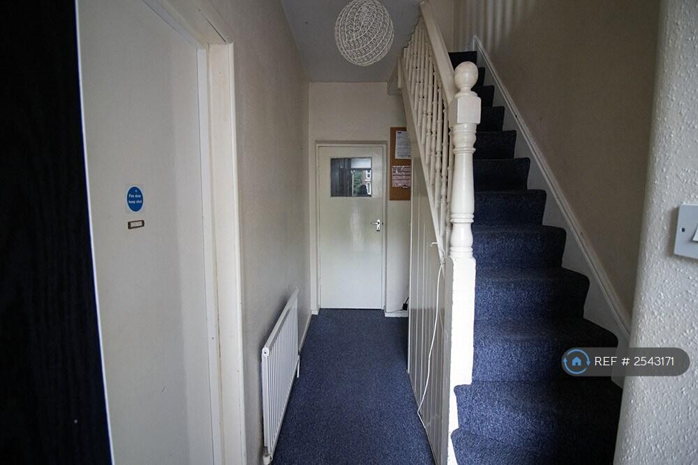 Hallway Downstairs