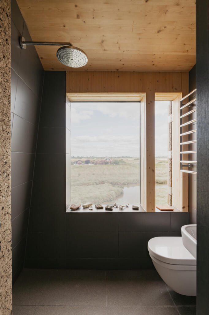 295215 - Redshanks, Lea on Sands-4.jpg