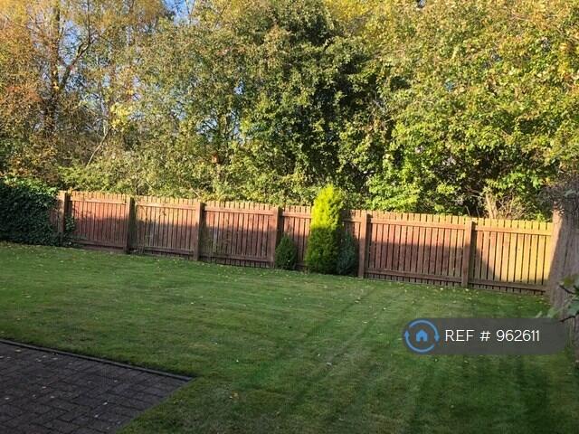 Back Garden