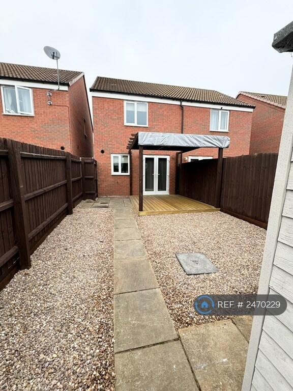 Back Garden