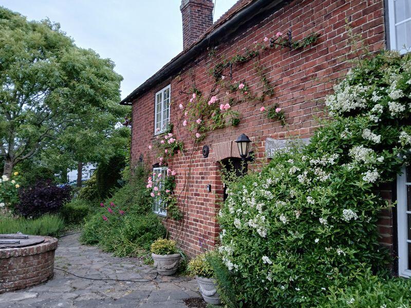 Photo 41