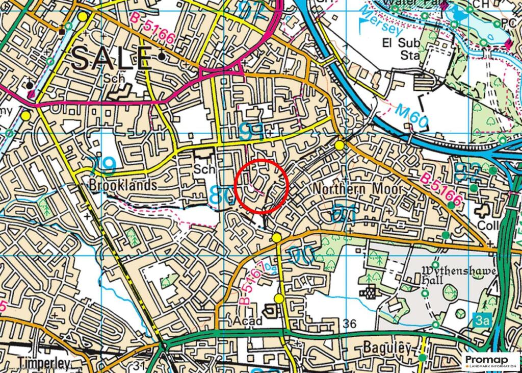 Town Plan