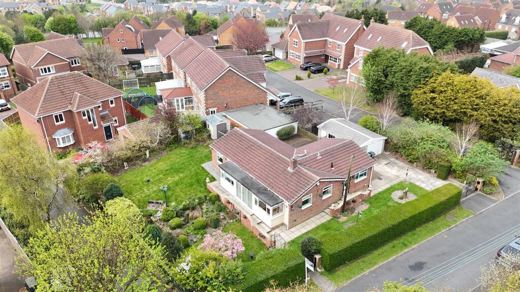 dji_fly_20250415_113436_0171_1744713283730_photo.J