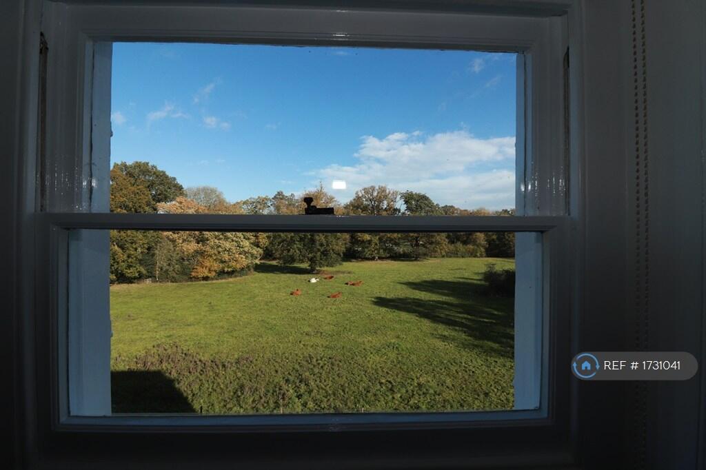 Kitchen View
