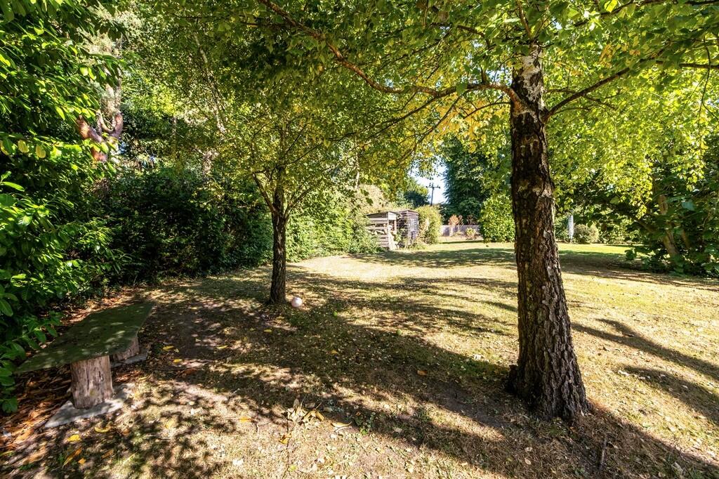 Lime Tree Cottage...