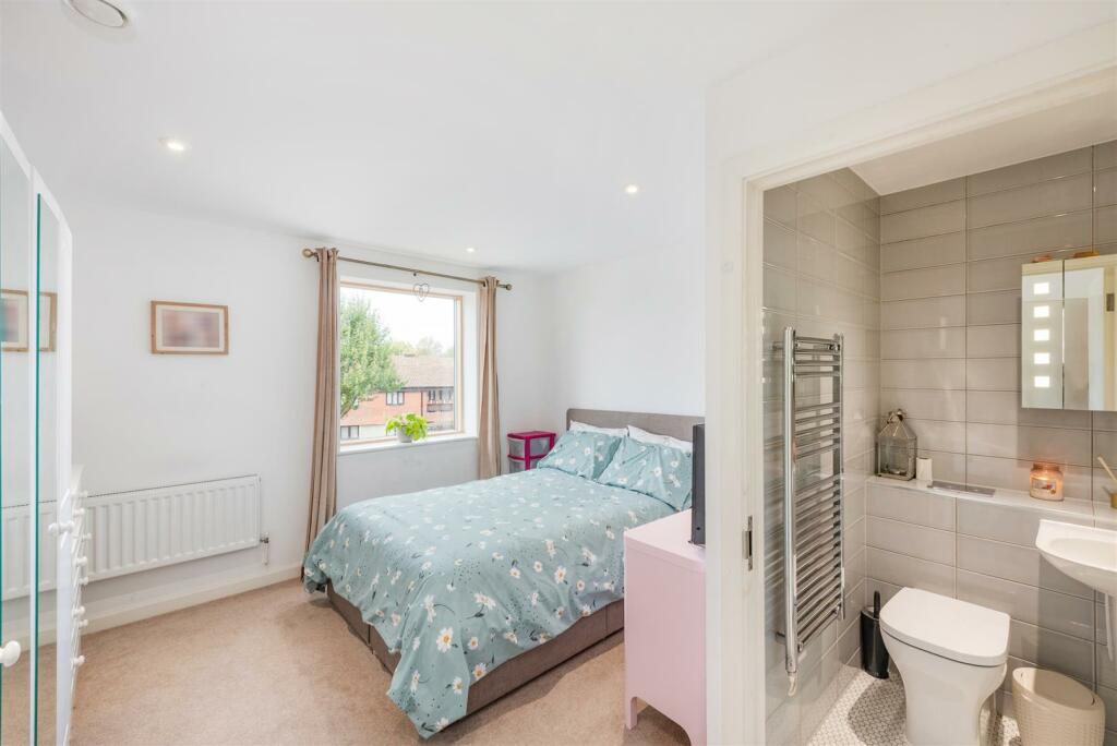 Crocus (9).jpg