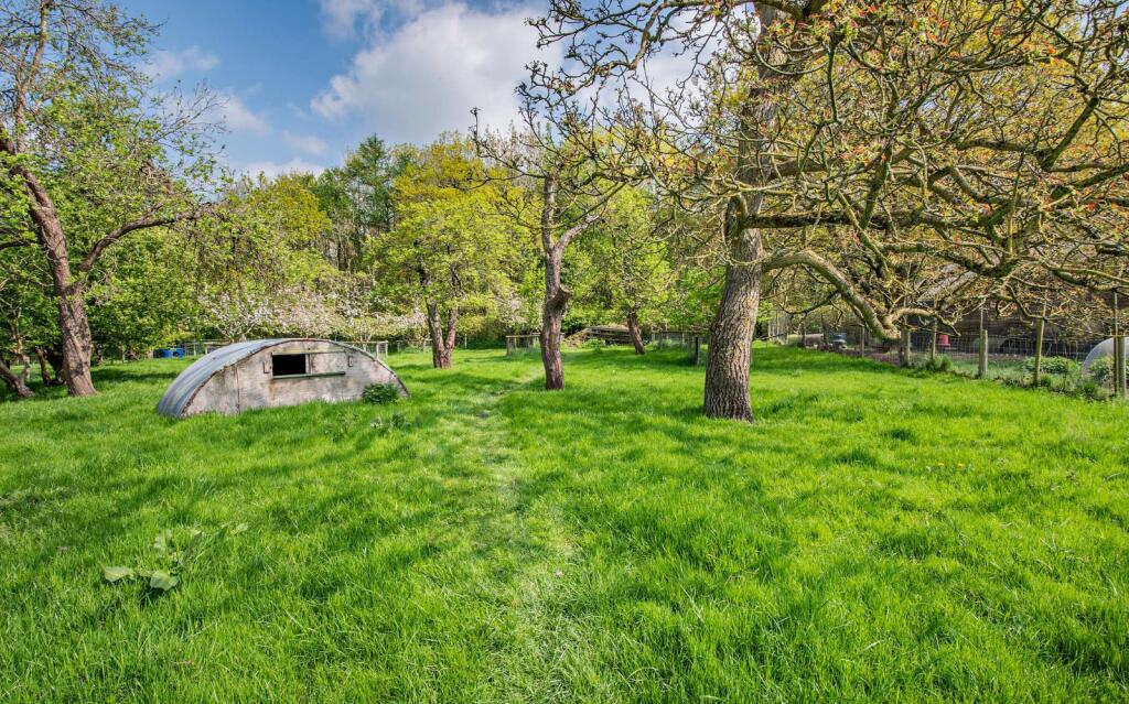 Orchard