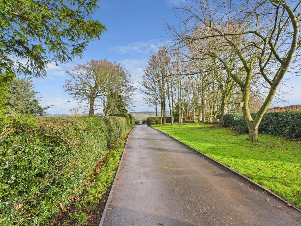 Driveway