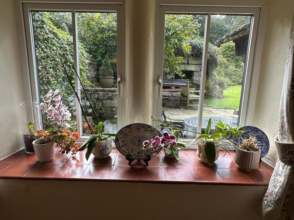Photograph 35