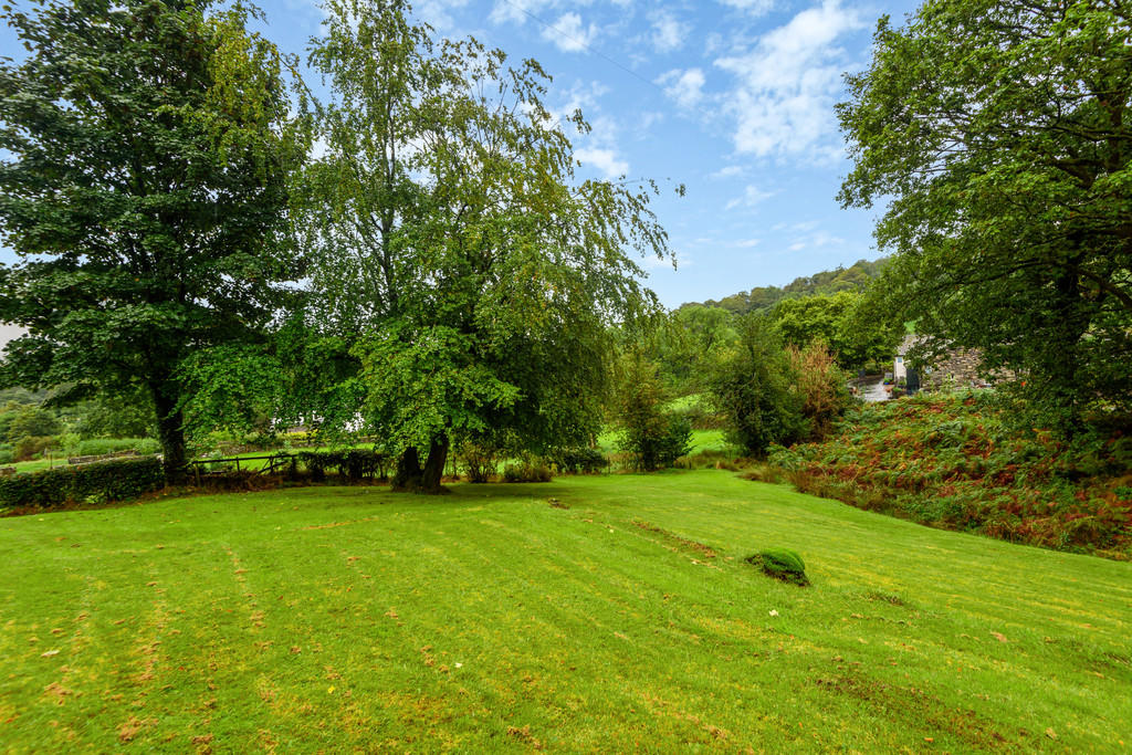 Garden and View