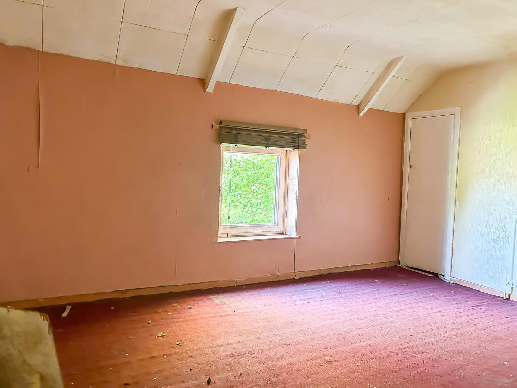 IMG 6892 T202510100925.jpg