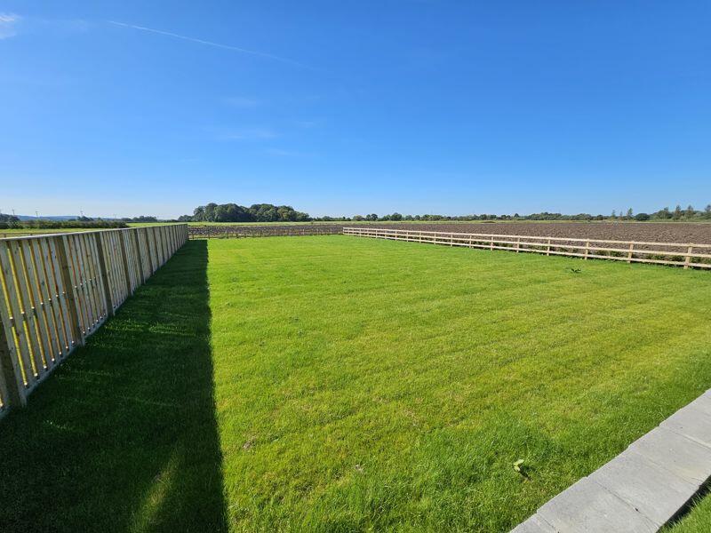 Lower Tier Garden