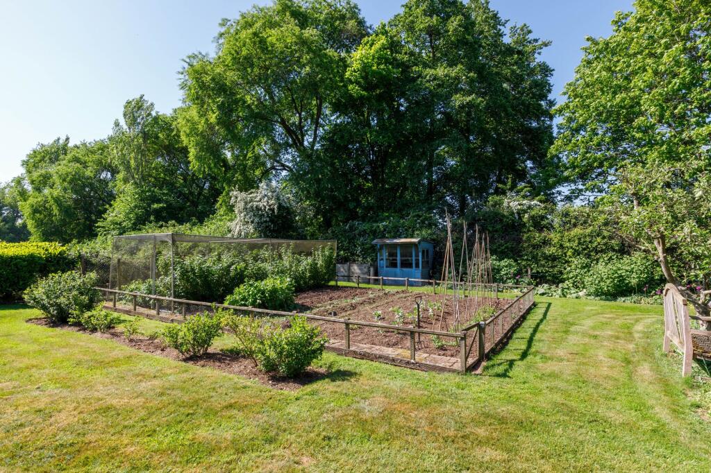 Vegetable Garden