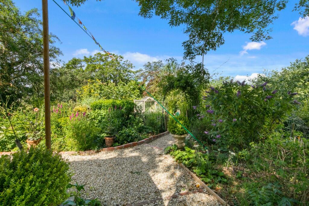 Perennial borders