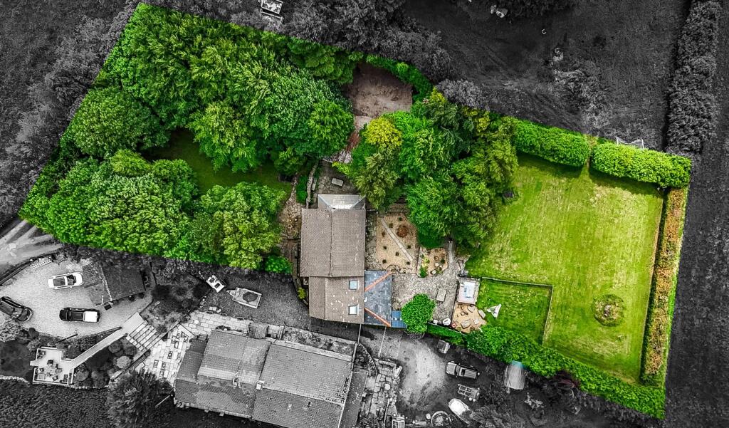 dji_fly_20250616_121230_0050_1750087419902_photo c