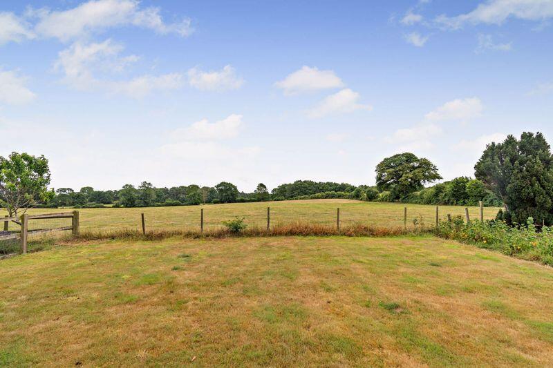 Garden and View